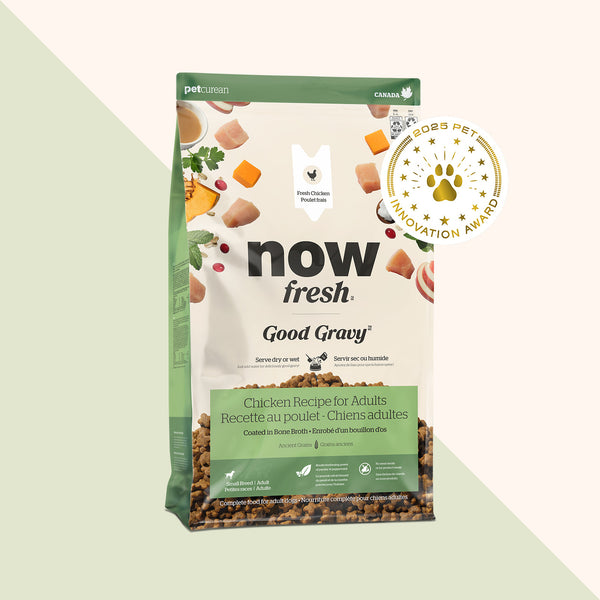 Now Fresh Good Gravy Small Breed Chicken with Grains Dry Dog Food (Special Order)