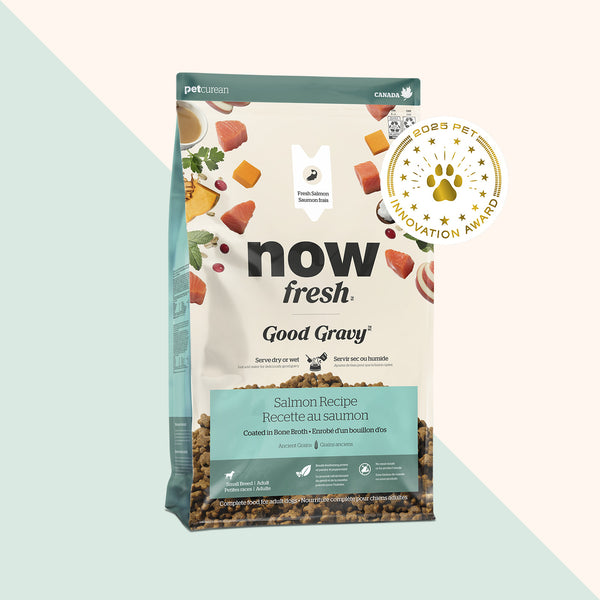 Now Fresh Good Gravy Small Breed Salmon with Grains Dry Dog Food (Special Order)
