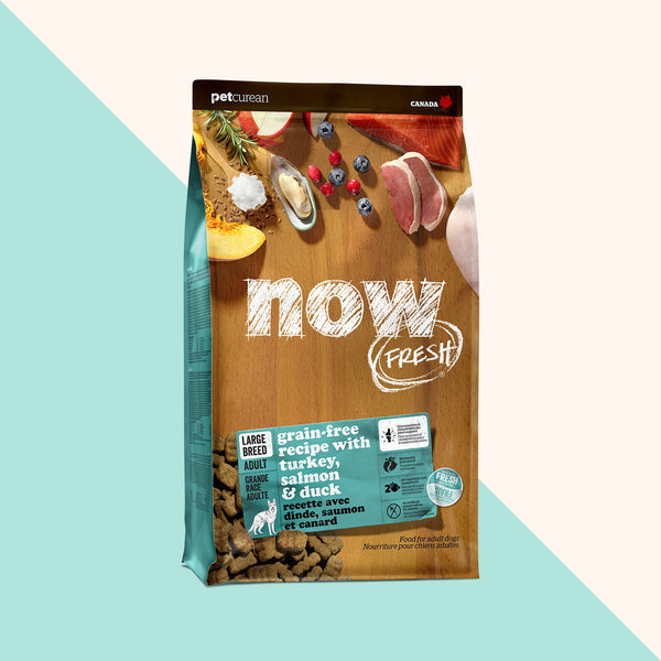 Now Fresh Grain Free Large Breed Adult Turkey, Salmon & Duck Dry Dog Food (Special Order)