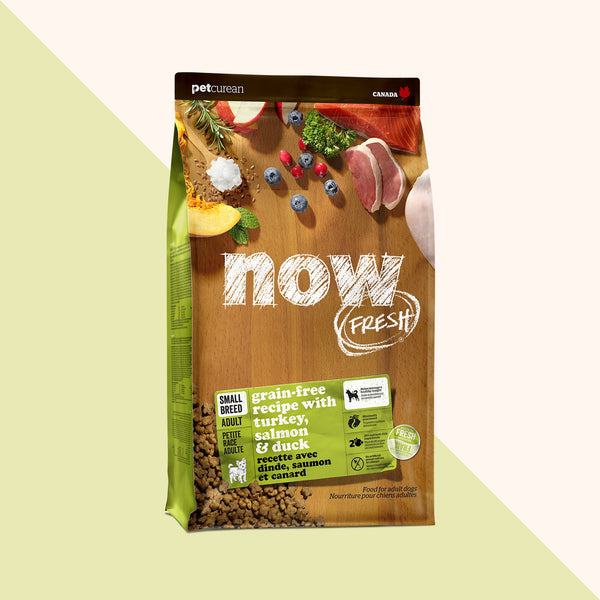 Now Fresh Grain Free Small Breed Adult Turkey, Salmon & Duck Dry Dog Food (Special Order)