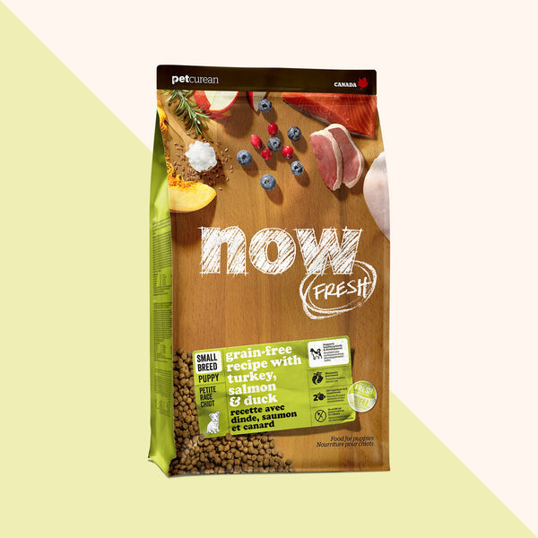 Now Fresh Grain Free Small Breed Puppy Turkey, Salmon & Duck Dry Dog Food (Special Order)