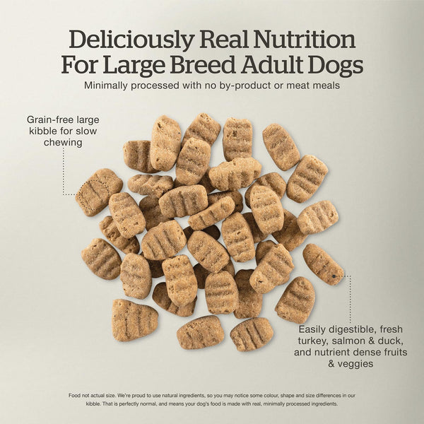 Now Fresh Grain Free Large Breed Adult Turkey, Salmon & Duck Dry Dog Food (Special Order), additional view 2