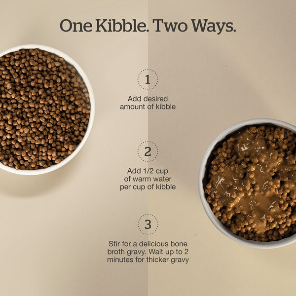 Now Fresh Good Gravy Grain Free Dry Cat Food, additional view 1