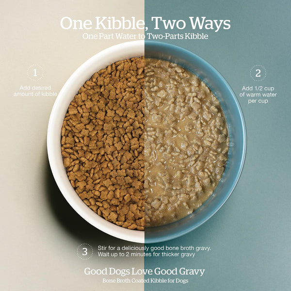 Now Fresh Good Gravy Small Breed Salmon with Grains Dry Dog Food (Special Order), additional view 1