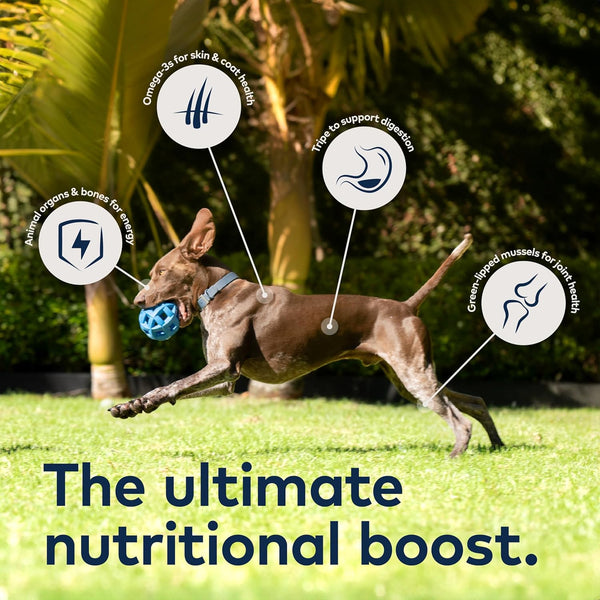 Ziwi Peak Original Air-Dried Chicken Dog Food, additional view 3