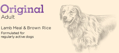 Eagle Pack Original Adult Lamb Meal & Brown Rice Formula Dry Dog Food, additional view 1
