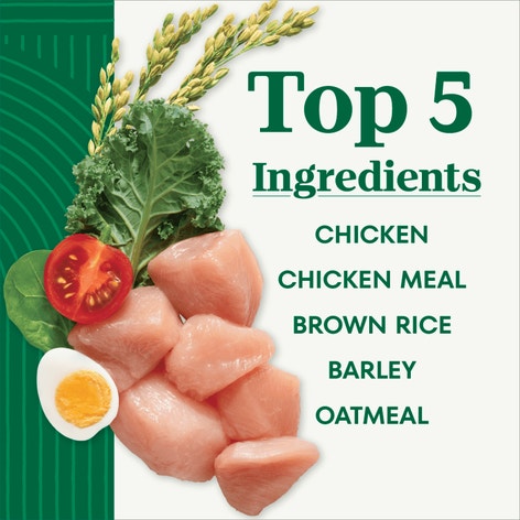 Nutro Natural Choice Large Breed Senior Chicken & Brown Rice Dry Dog Food, additional view 1