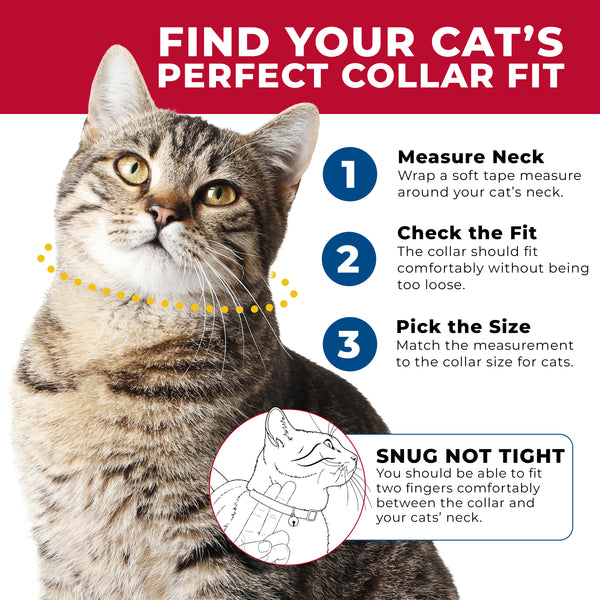 Coastal Safe Cat Fashion Adjustable Breakaway Collar, Sushi on Blue, additional view 1