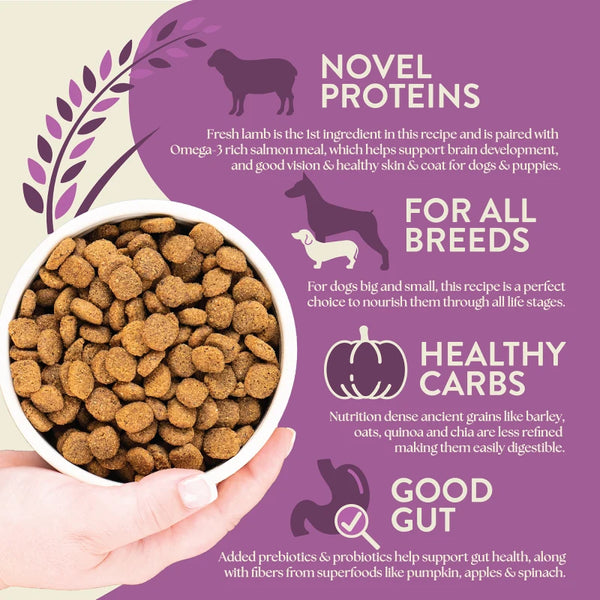 Earthborn Holistic Unrefined Roasted Lamb Recipe with Ancient Grains & Superfoods Dry Dog Food, additional view 2