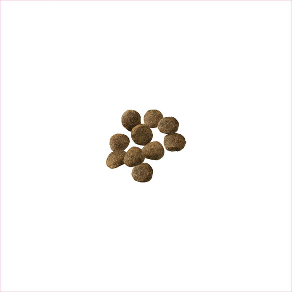 Pro Plan Puppy Sensitive Skin & Stomach Salmon & Rice Dry Dog Food, additional view 1