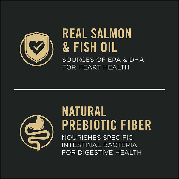 Pro Plan Puppy Sensitive Skin & Stomach Salmon & Rice Dry Dog Food, additional view 2