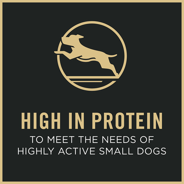 Pro Plan Adult Small Breed Shredded Blend Chicken & Rice Dry Dog Food, additional view 2