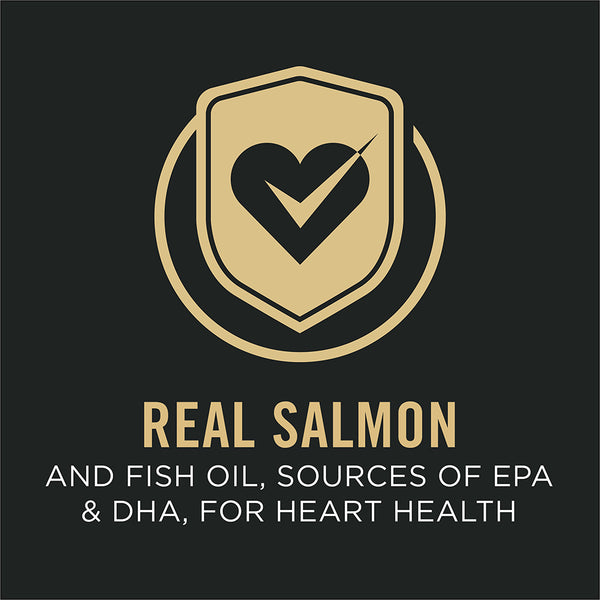 Pro Plan Adult Sensitive Skin & Stomach Small Breed Salmon & Rice Dry Dog Food, additional view 2