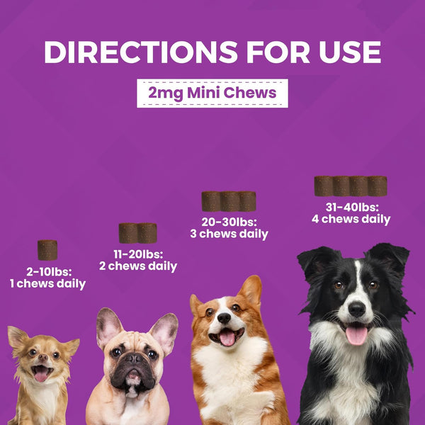 Progility Minis Calming Aid with Melatonin 60-ct Soft Chews