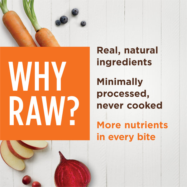 Instinct Raw Boost Shaker Cage Free Chicken Recipe Freeze-Dried Food Topper