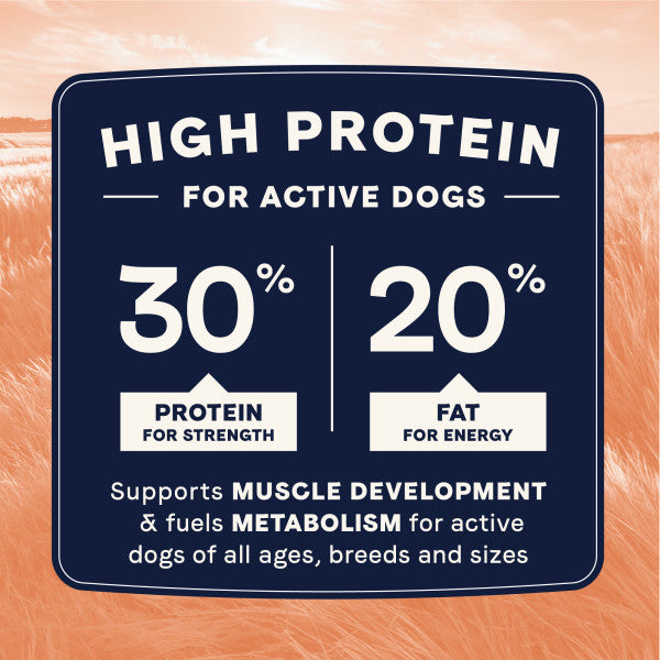 Canidae All Life Stages High Protein Multi-Protein Dry Dog Food, additional view 3
