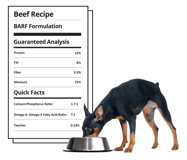 Steve's Real Food Frozen Raw Beef Recipe