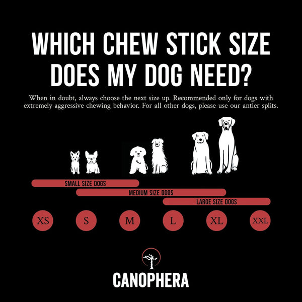 Canophera Whole Red Deer Antler Dog Chew, additional view 3