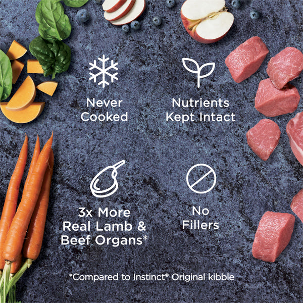 Instinct Raw Bites Grass-Fed Lamb Bites Recipe Frozen Dog Food