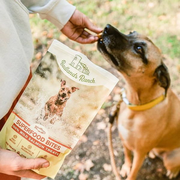 Badlands Ranch Superfood Bites Wild Salmon Freeze-Dried Dog Treats