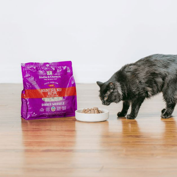 Stella & Chewy's Bountiful Beef Dinner Morsels Freeze-Dried Cat Food