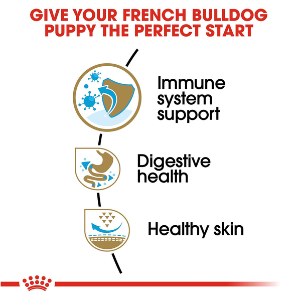Royal Canin French Bulldog Puppy Dry Dog Food, additional view 2