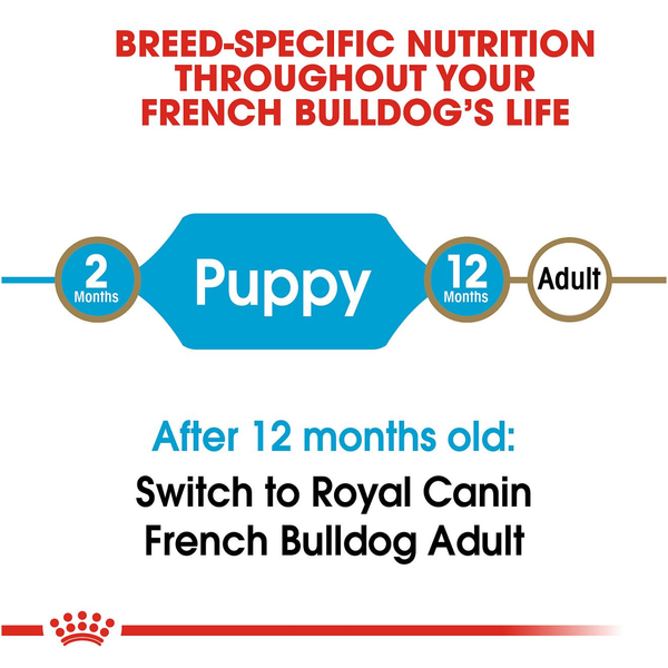 Royal Canin French Bulldog Puppy Dry Dog Food, additional view 3