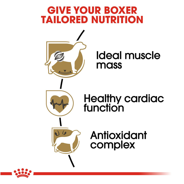 Royal Canin Boxer Adult Dry Dog Food, additional view 3