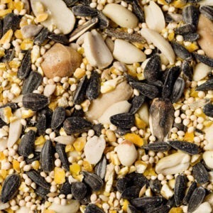 Scarlett Supreme Wild Bird