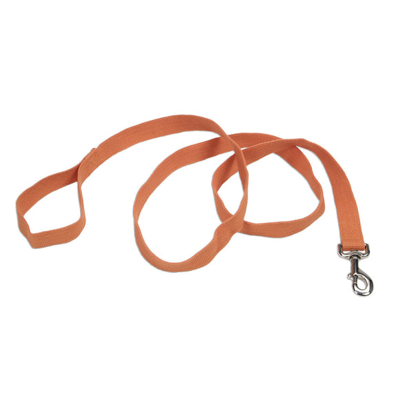 Coastal New Earth Soy Dog Leash, 6 ft