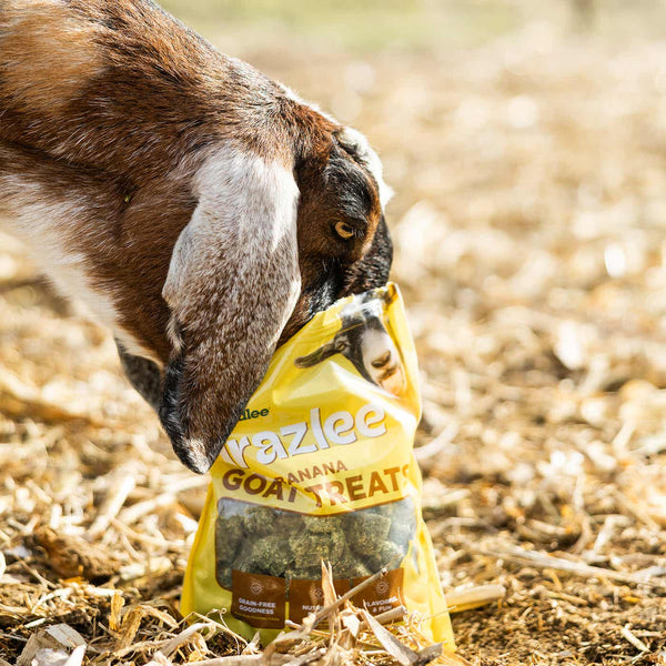 Standlee Grazlee Banana Goat Treats made in Idaho, view 5