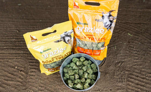 Standlee Grazlee Banana and Honey Goat Treats 3 lb bags side by side