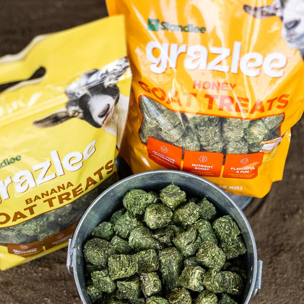 Standlee Grazlee Honey Goat Treats, compressed alfalfa cubes for goats, view 3