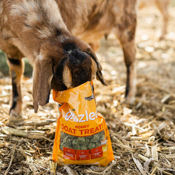 Standlee Grazlee Honey Goat Treats made in Idaho, view 5