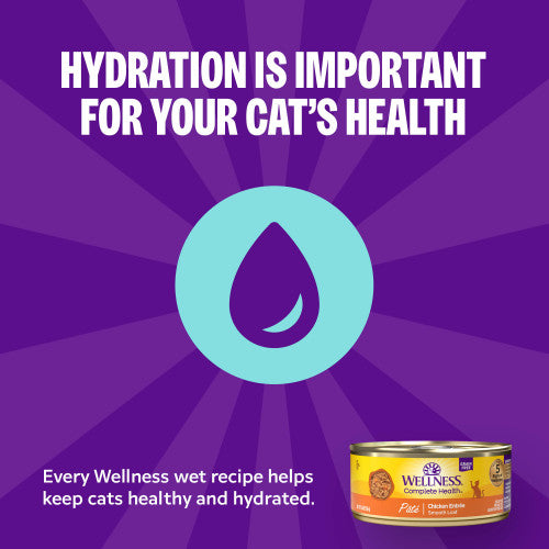 Wellness Complete Health Chicken & Turkey Lovers Variety Pack Wet Cat Food, additional view 2