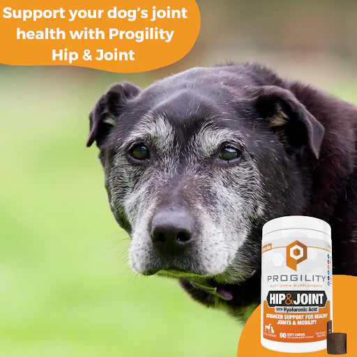 Progility Hip & Joint with Hyaluronic Acid Soft Chews for Dogs
