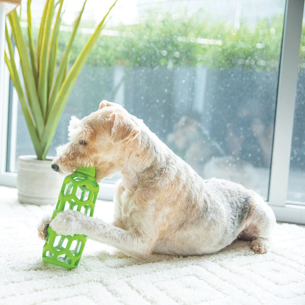 JW Hol-ee Water Bottle Dog Toy, additional view 2