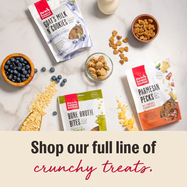 The Honest Kitchen Bone Broth Bites Roasted with Turkey Bone Broth, Pumpkin & Parsley Dog Treats