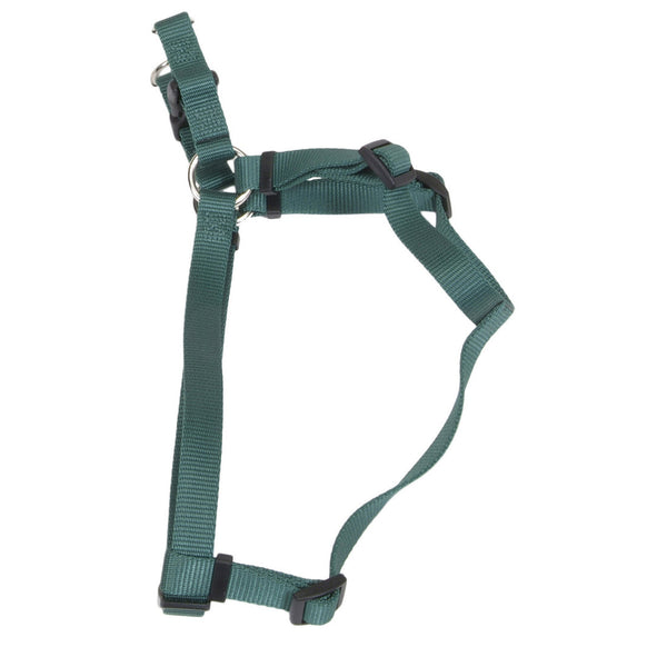 Coastal Comfort Wrap Adjustable Dog Harness