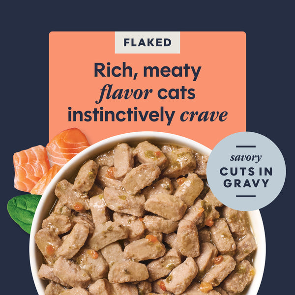 Instinct Flaked Salmon Entrée Wet Cat Food