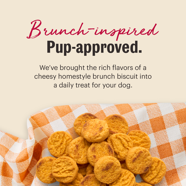 The Honest Kitchen Cheddar Biscuits Dog Treats, additional view 2