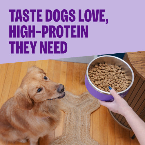 Wellness CORE Grain Free Large Breed Chicken & Turkey Dry Dog Food, additional view 2
