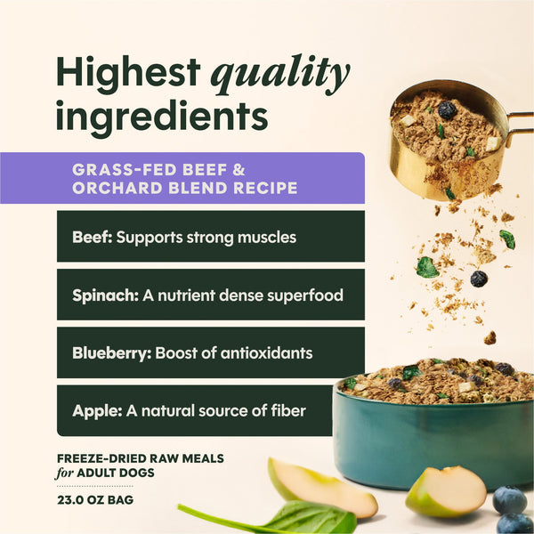 Instinct FreshDried Meal Blends Beef & Orchard Blend Freeze-Dried Dog Food