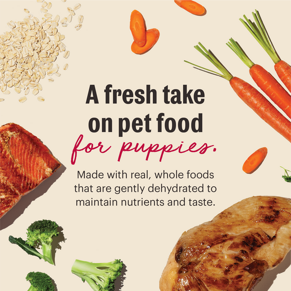 The Honest Kitchen Wholemade Whole Grain Dehydrated Puppy Food 2 lb, additional view 4