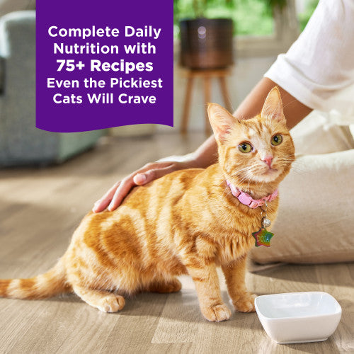 Wellness Complete Health Grilled Wet Cat Food 3 oz, Case of 12, additional view 5