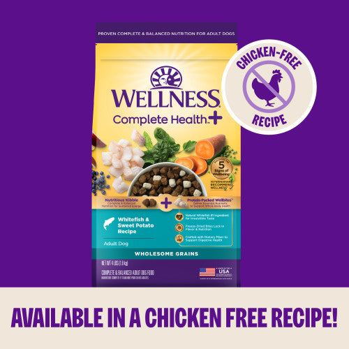 Wellness Complete Health+ Whitefish & Sweet Potato Dry Dog Food, additional view 3