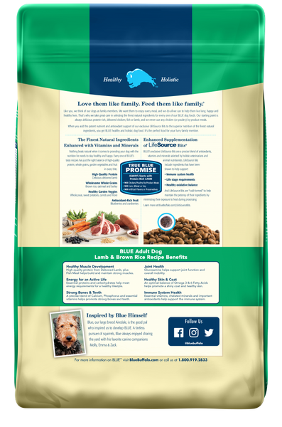 Blue Buffalo Life Protection Natural Lamb & Brown Rice Recipe Adult Dry Dog Food