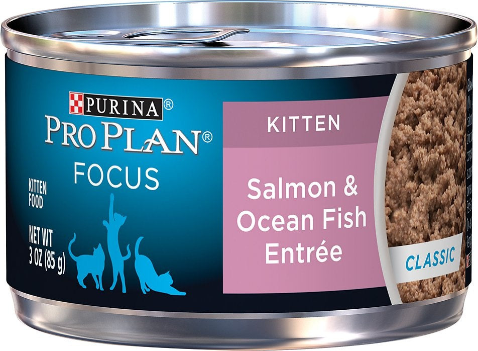 Purina Pro Plan Focus Kitten Classic Salmon Ocean Fish Entree Canned Cat  Food