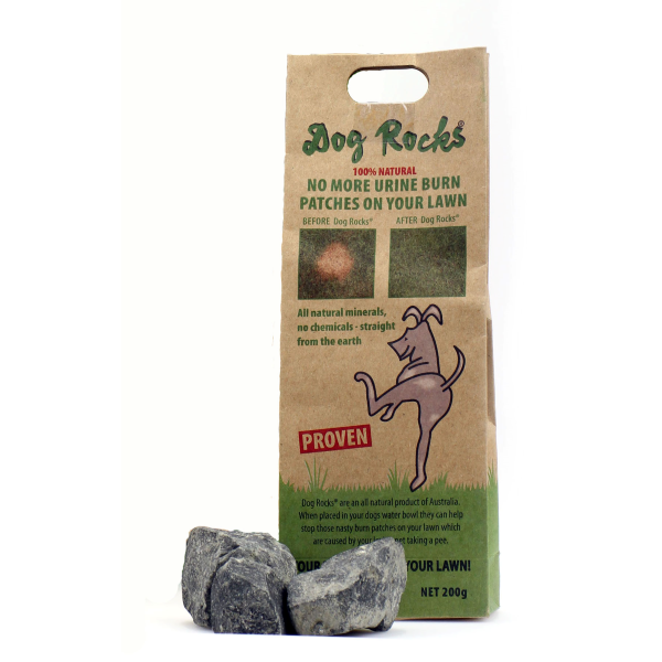 Dog Rocks