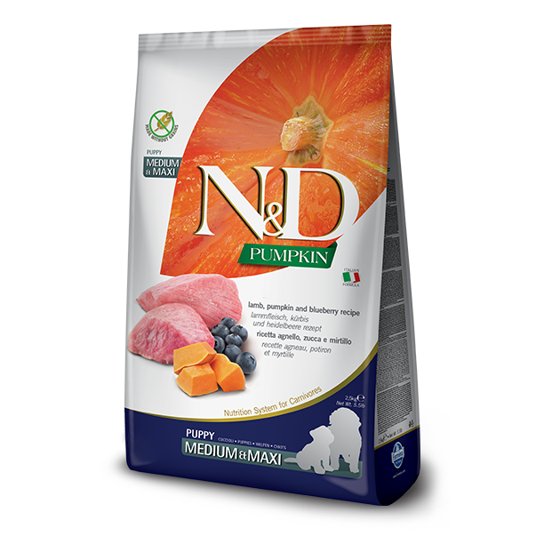 Farmina N&D Pumpkin Grain Free Lamb & Blueberry Medium & Maxi Puppy Dry Dog Food